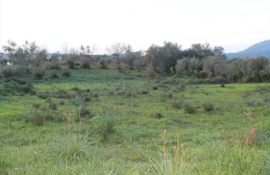 For Sale &#8211; Land 5700 m²