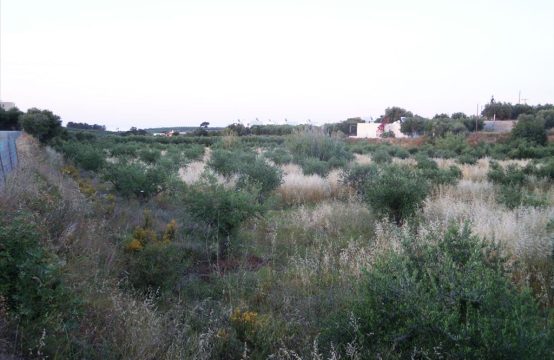 For Sale &#8211; Land 9491 m²