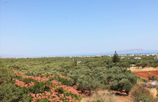 For Sale &#8211; Land 3300 m²
