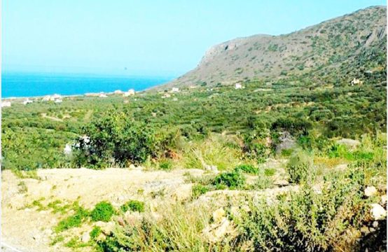For Sale &#8211; Land 830 m²